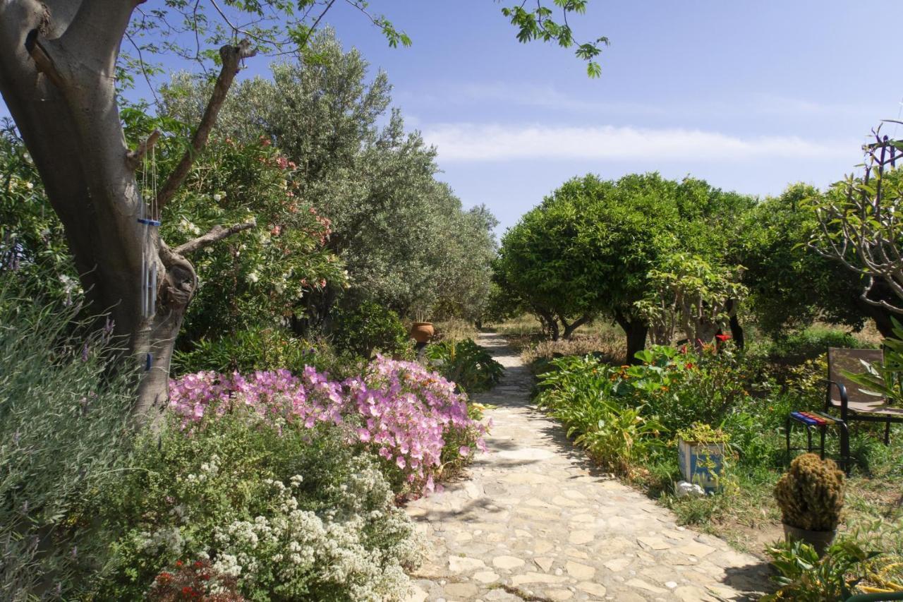 Phlea Farm Studios Alinda  外观 照片